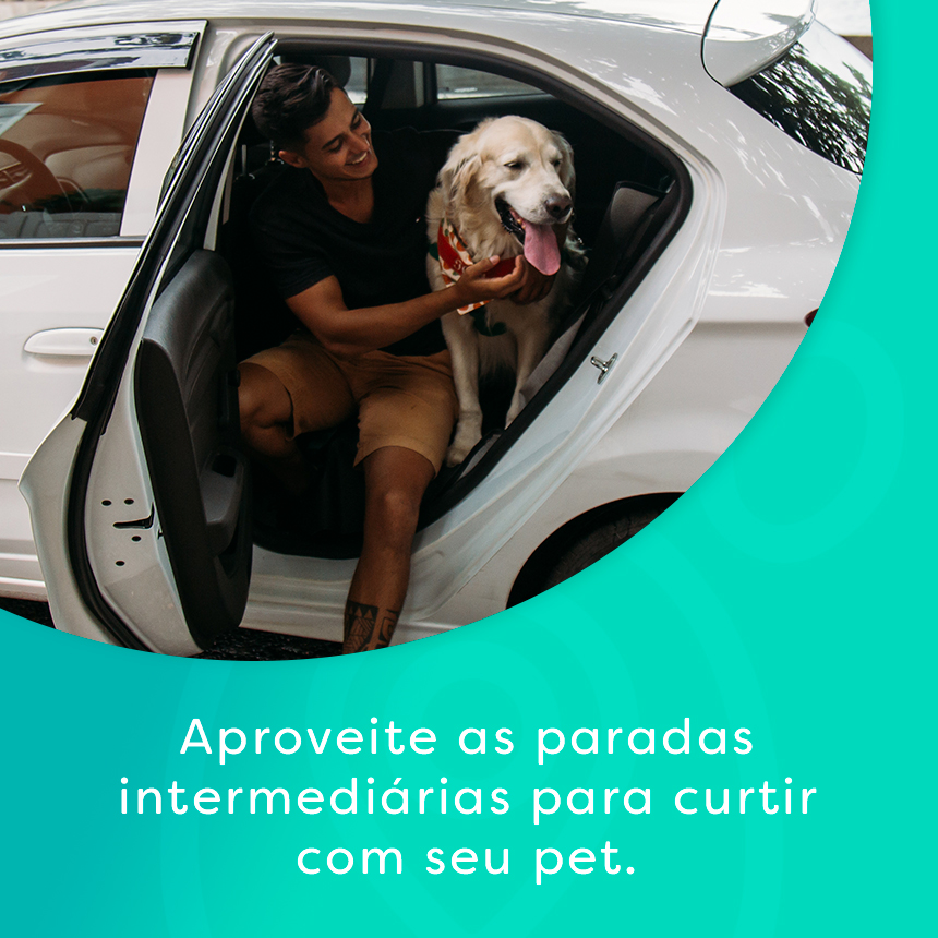 Veja como solicitar paradas intermediárias no app da PetDriver