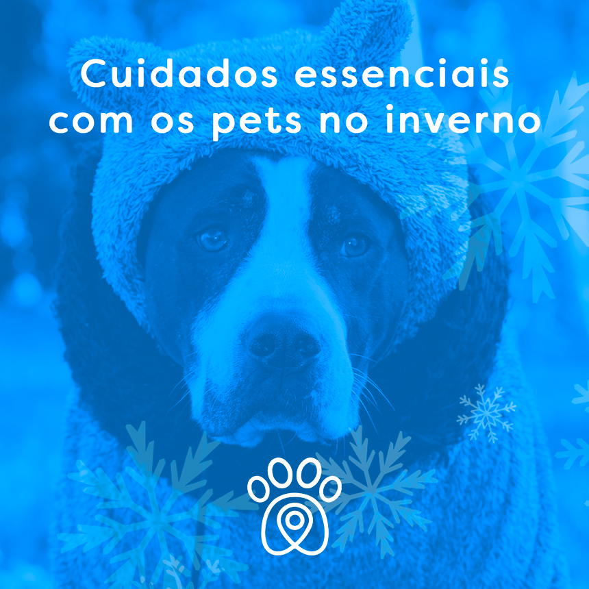 Agasalhe os seus pets neste inverno e previna problemas de saúde
