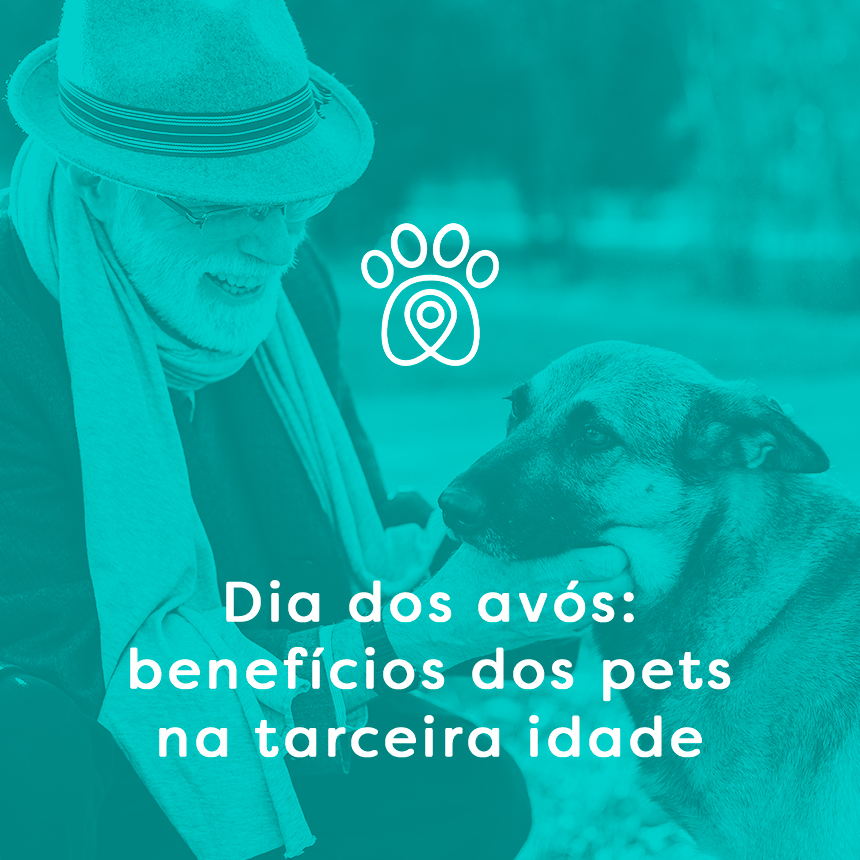 Dia dos Avós: benefícios dos pets para a terceira idade