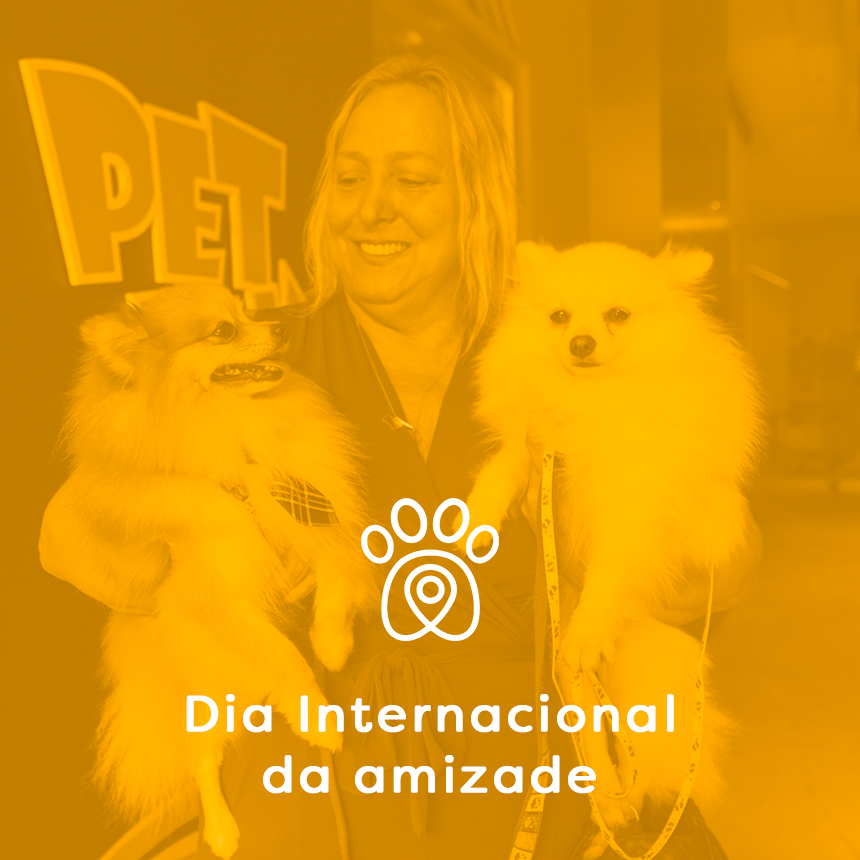 Dia do Amigo: sinais de que você encontrou no seu pet a melhor companhia para a vida!