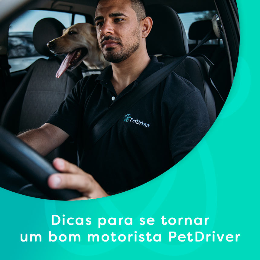 Dicas para se tornar um bom motorista PetDriver