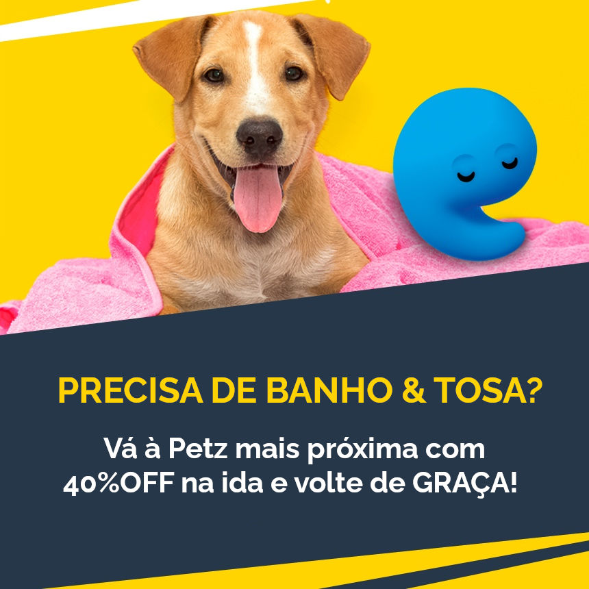 Precisando de banho &amp; tosa para seu filho de quatro patas?