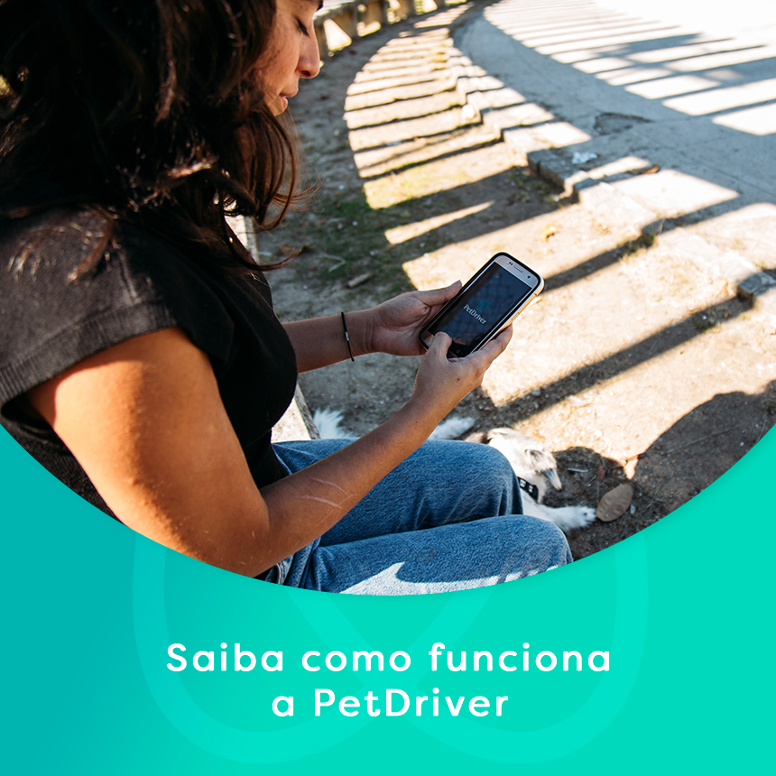 Transporte pet: como funciona a PetDriver?