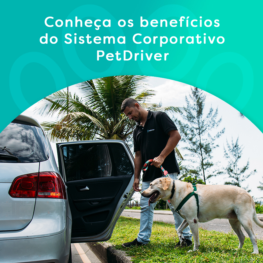 Conheça os benefícios do Sistema Corporativo de transporte pet da PetDriver