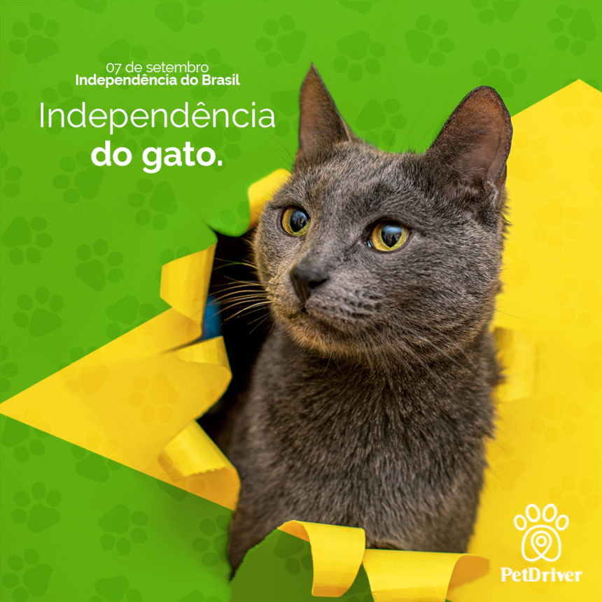 Ele te ama, mas é orgulhoso demais para dizer!