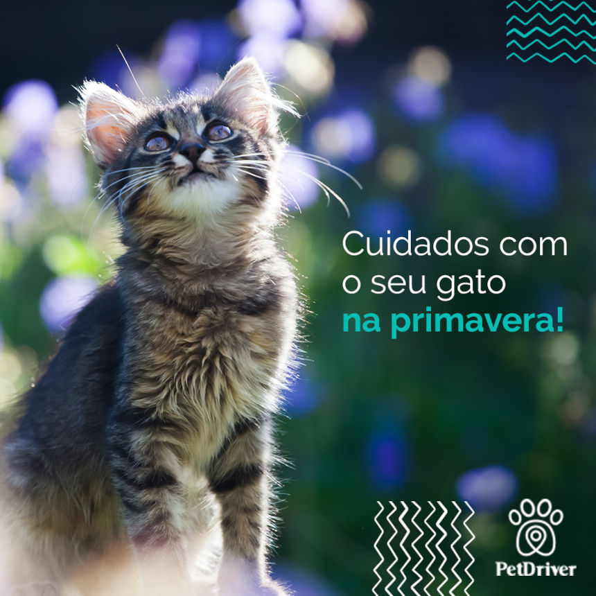 A primavera chegou! Mas nem tudo são flores