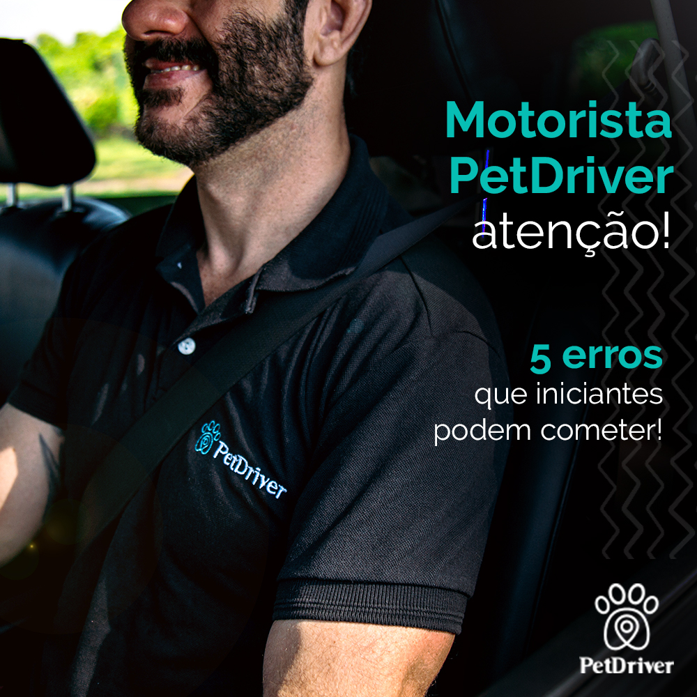 Erros mais comuns de motoristas iniciantes