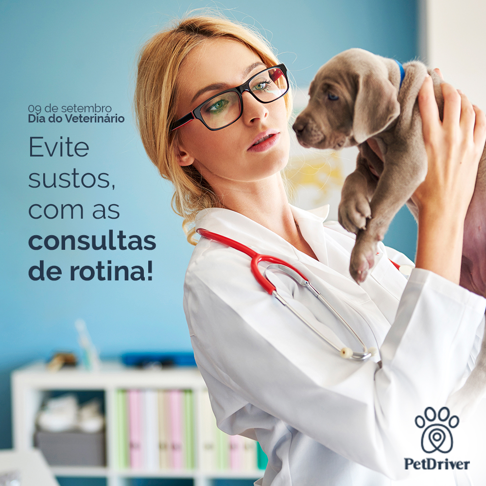 Quantas vezes você vai fazer aquele check-up no médico?