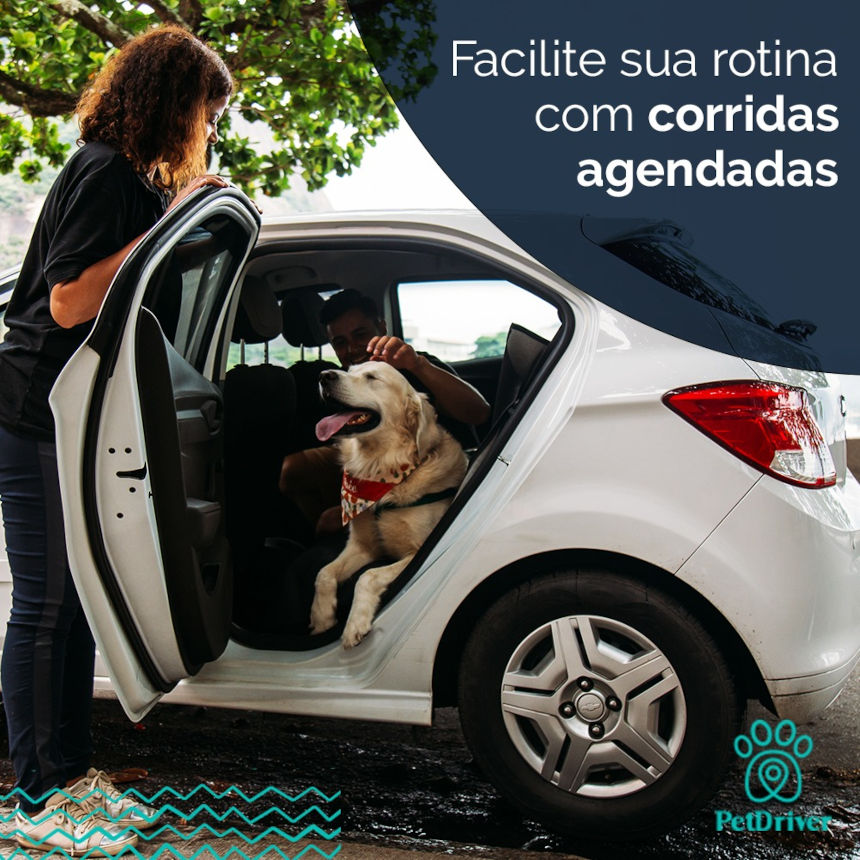 Planejamento e comodidade juntos aonde vocês forem!