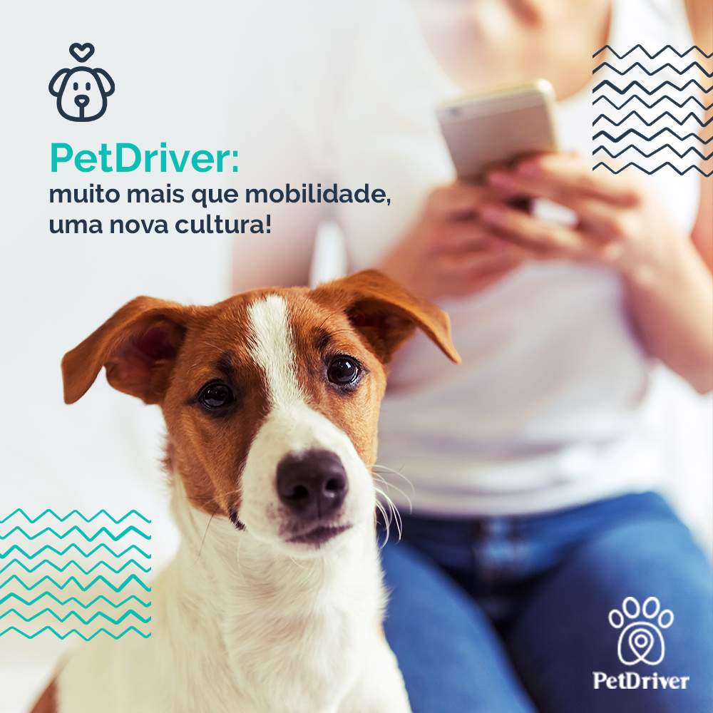 Leve o seu pet para todo canto em poucos cliques!