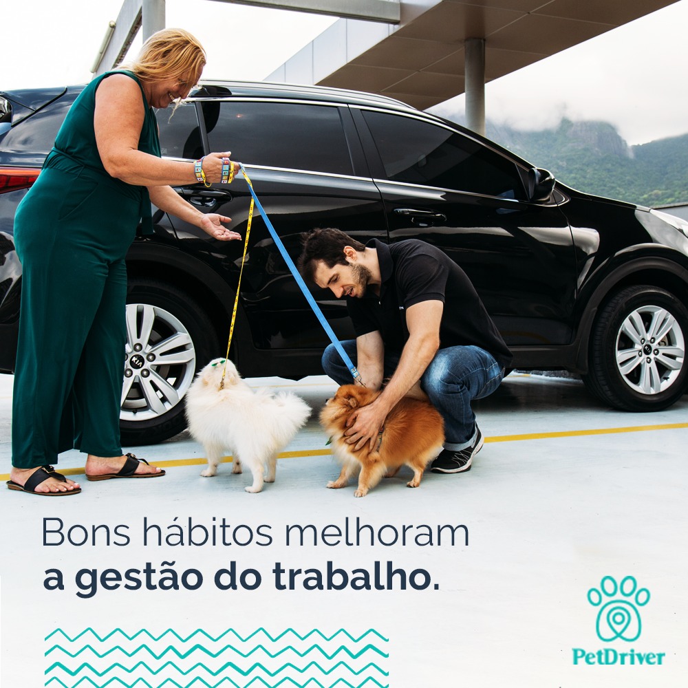 Dicas para você, motorista, melhorar sua rotina.