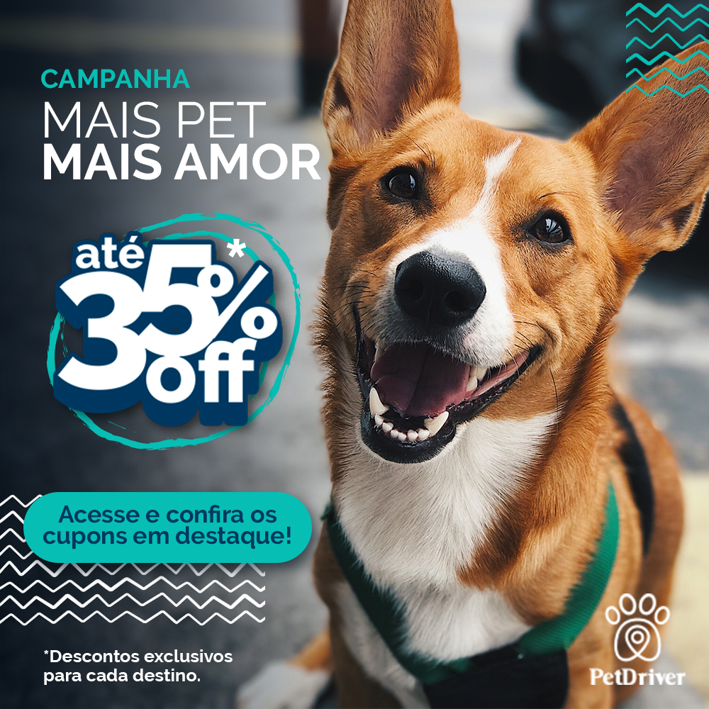 Campanha MAIS PET MAIS AMOR para um mundo mais pet friendly!