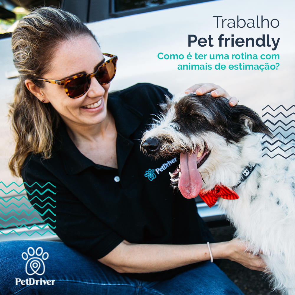 Trabalhar com pets é o mesmo que trabalhar com amor!