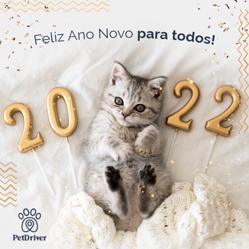 Feliz Ano novo para nós!