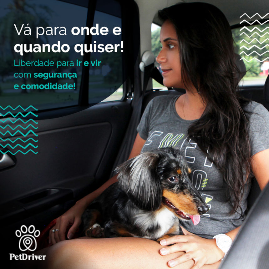 Liberdade para ir onde e quando quiser com a PetDriver