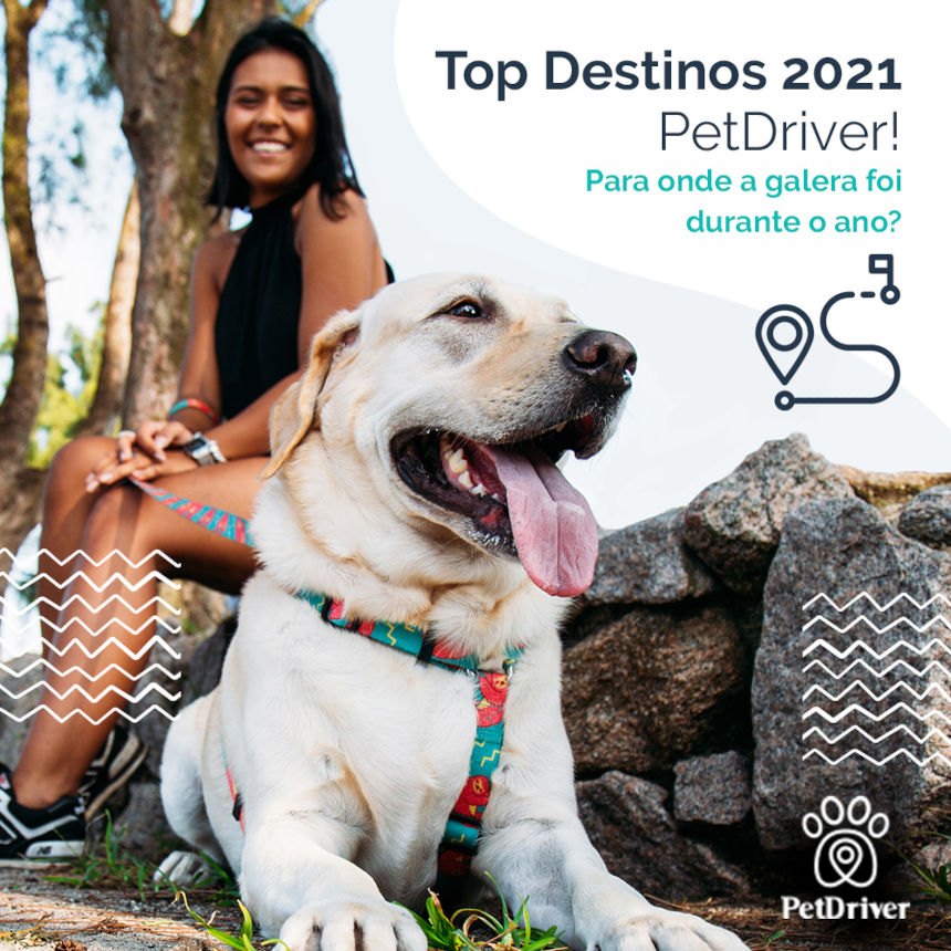 Top Destinos mais visitados em 2021 junto a PetDriver