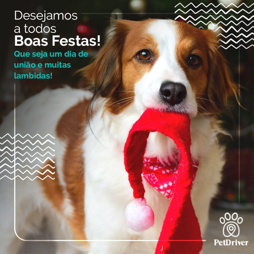 Boas Festas de fim de ano junto de quem você mais ama! S2