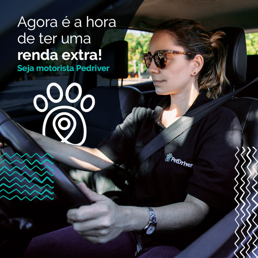 Comece 2022 com uma renda extra na PetDriver