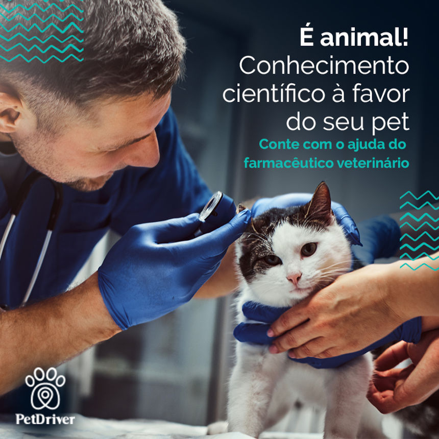 É animal! Conhecimento científico a favor do seu pet