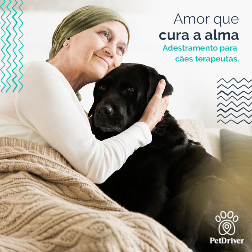 Cães terapeutas - Amor que cura qualquer ferida