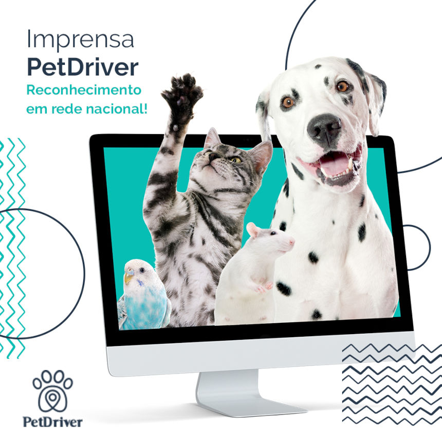 Transporte Pet tem reconhecimento em mídias nacionais!