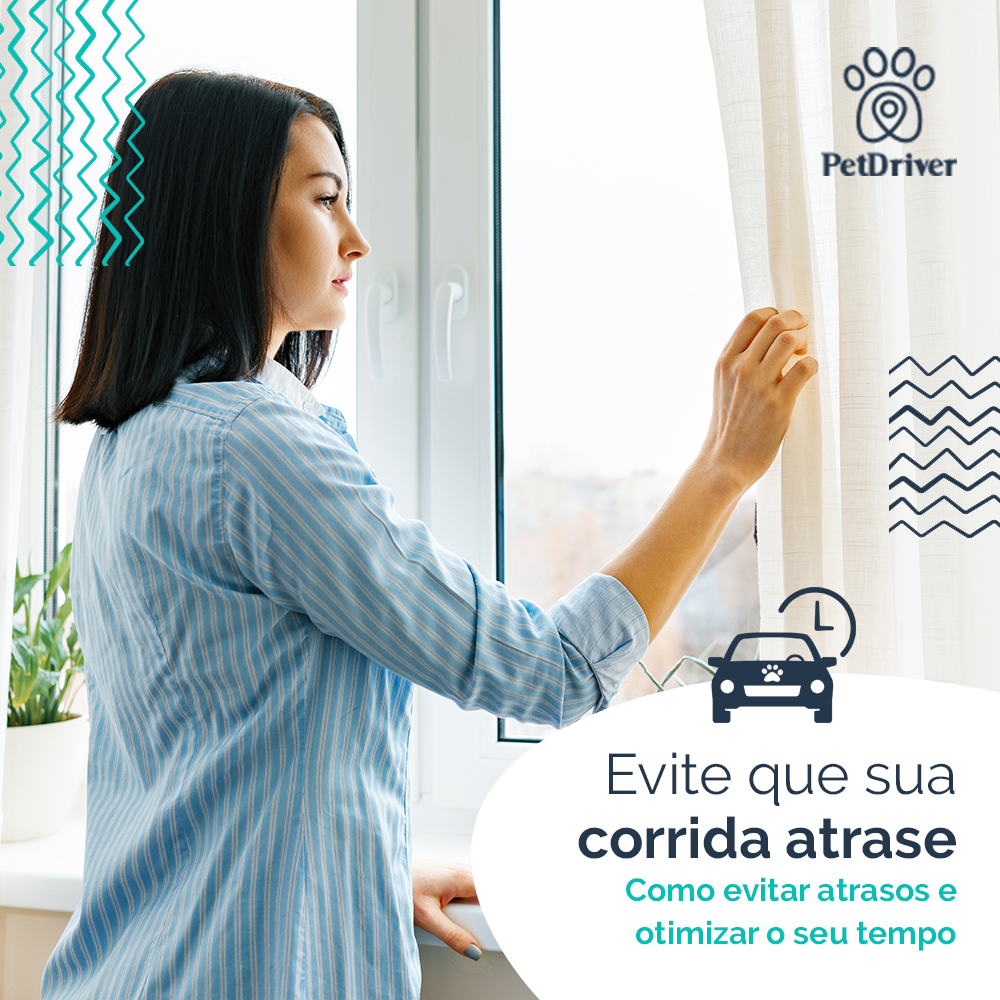 Evite atrasos nas corridas e otimize o seu tempo na PetDriver