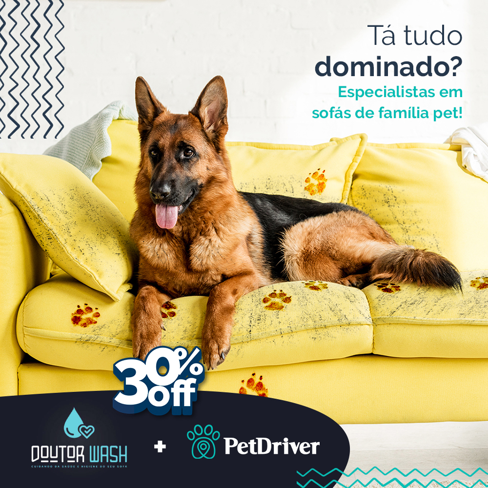  Seus pets felizes por toda casa, inclusive no sofá!