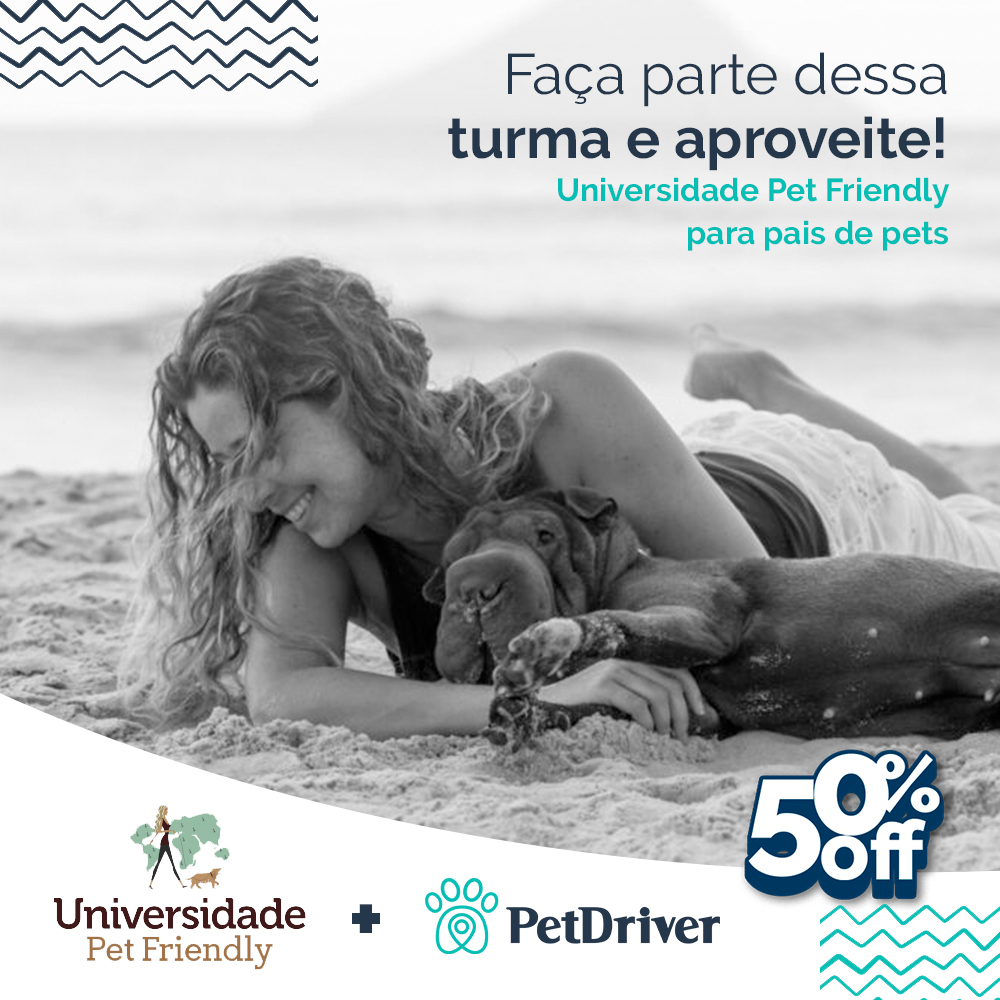 Uma turma apaixonada pelos seus pets