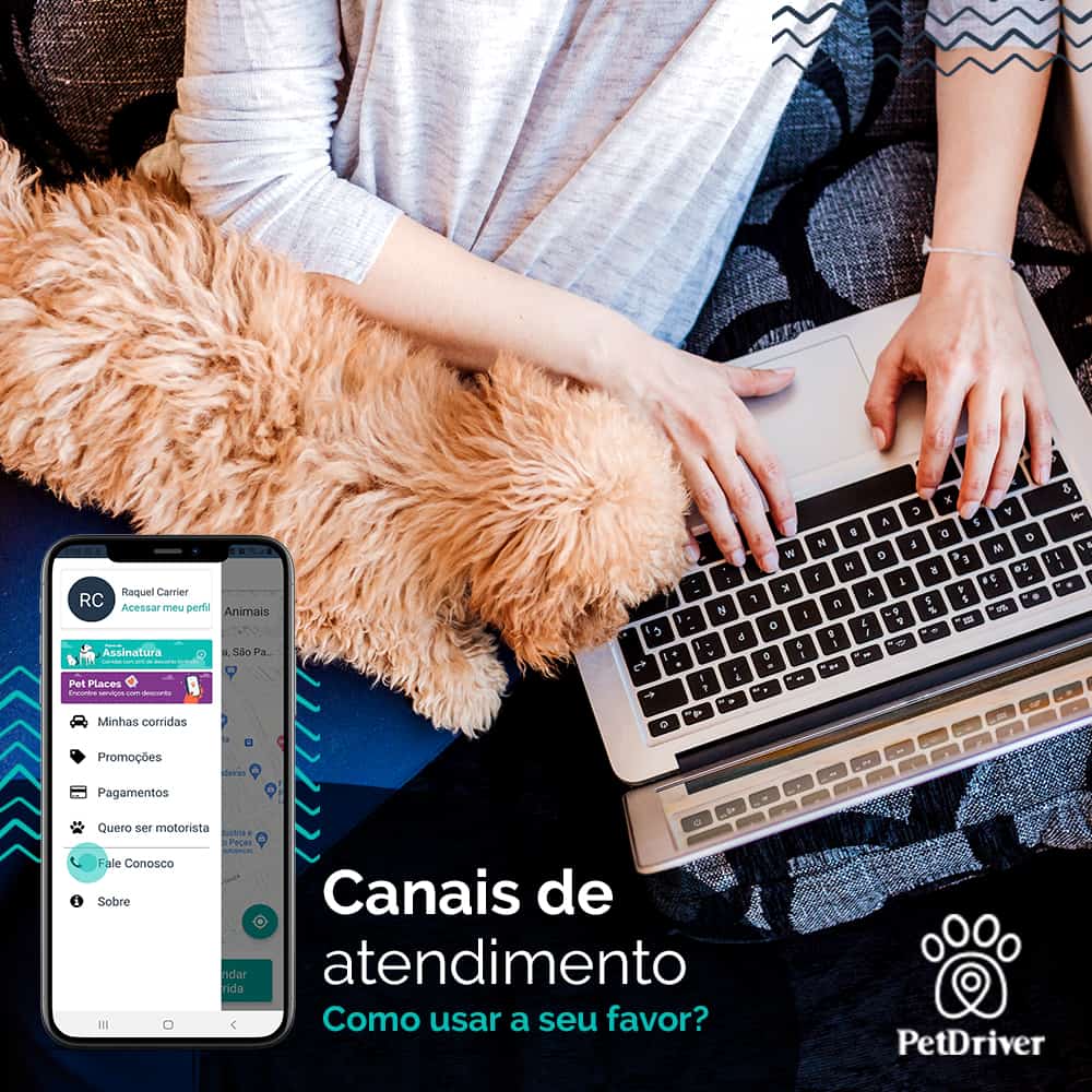 Canais de atendimento PetDriver