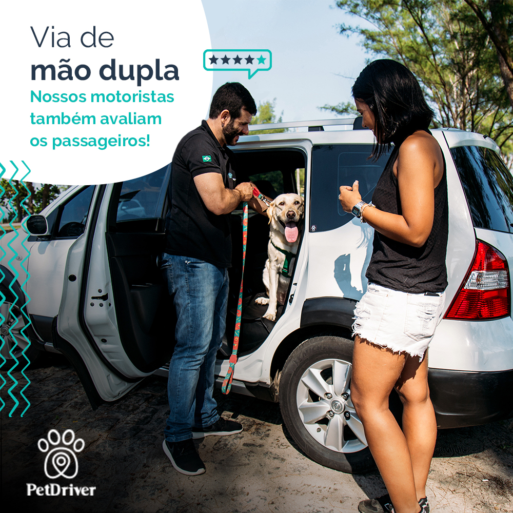 No banco da frente ou no banco de trás, respeito é para todos!