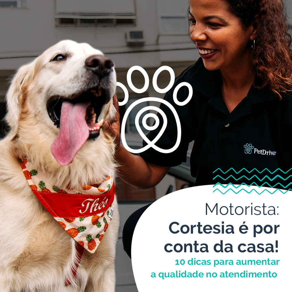 Motorista: Cortesia é por conta da casa!