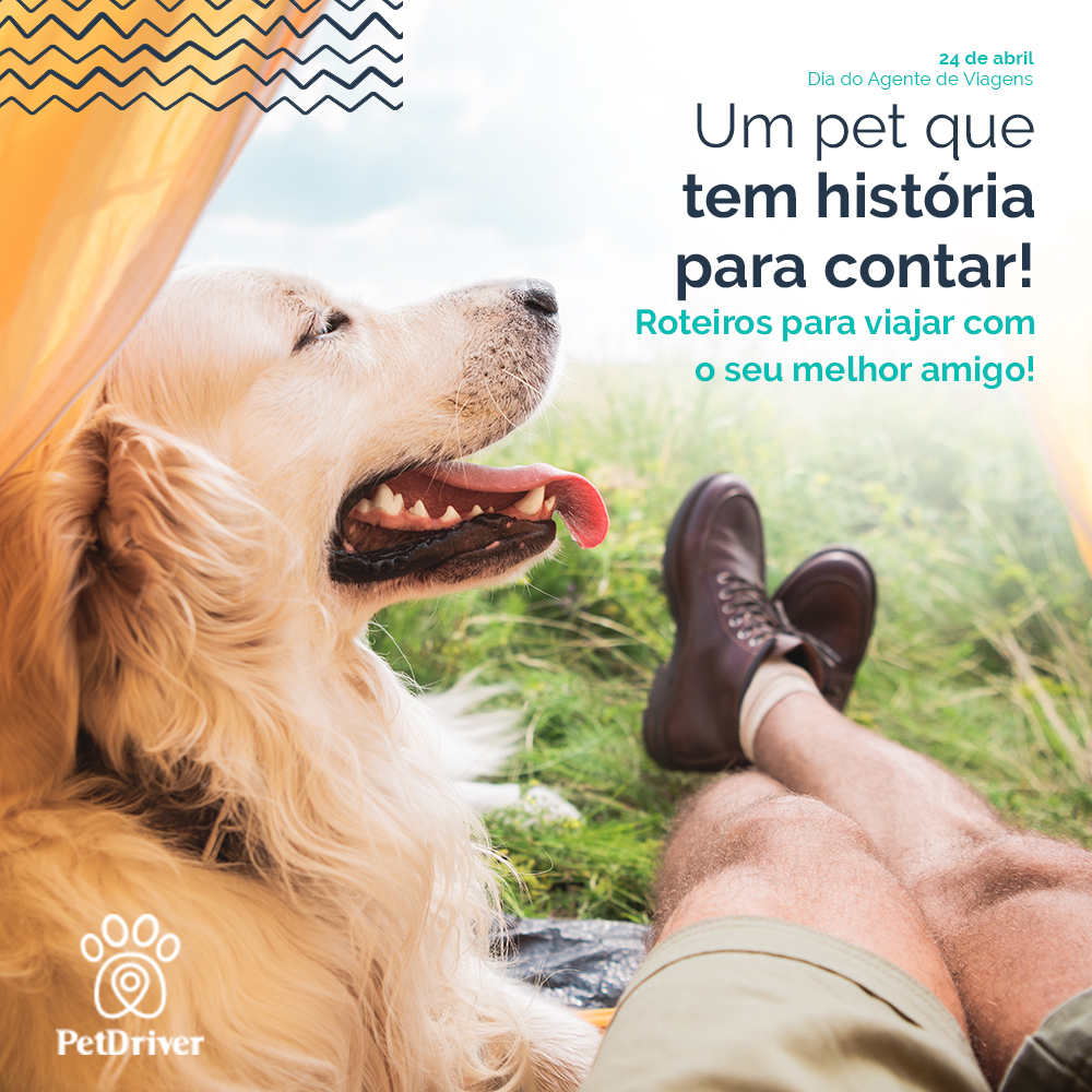 Seu pet curtindo a vida mundo afora!