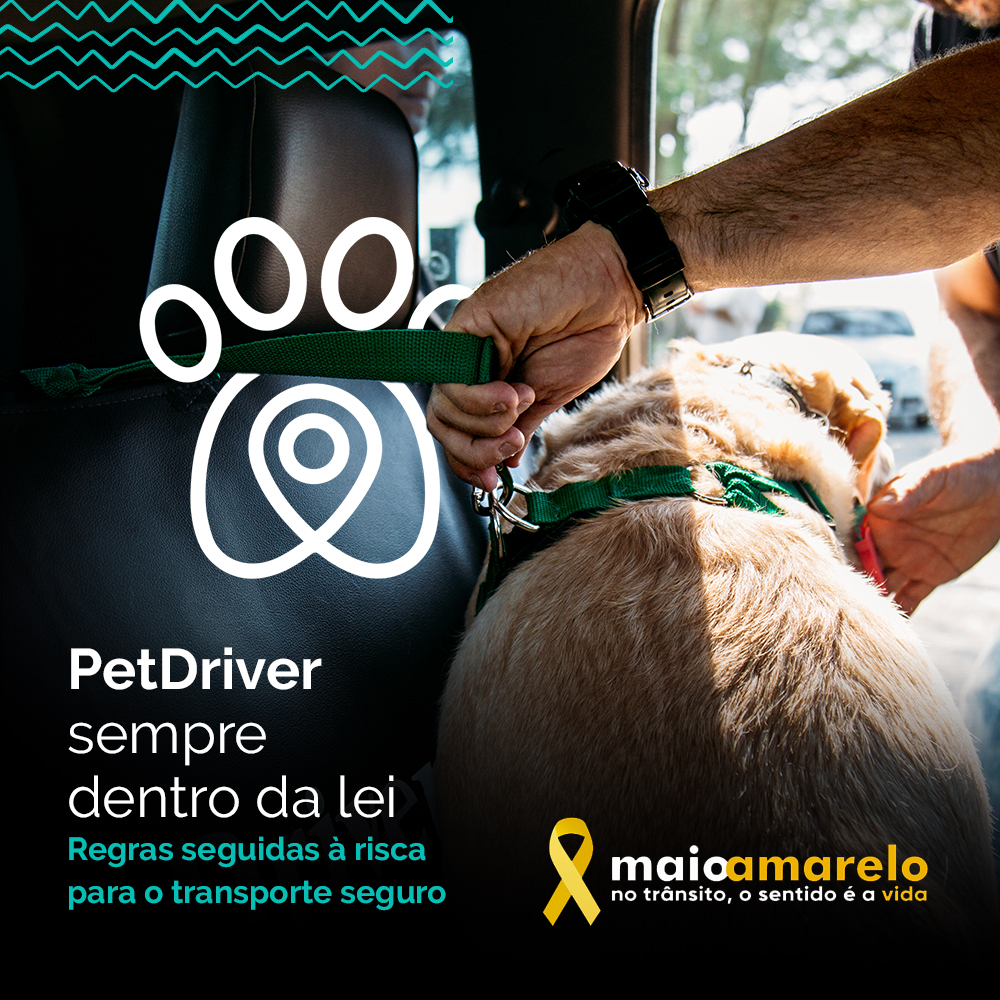 Maio Amarelo: Juntos a favor da vida no trânsito