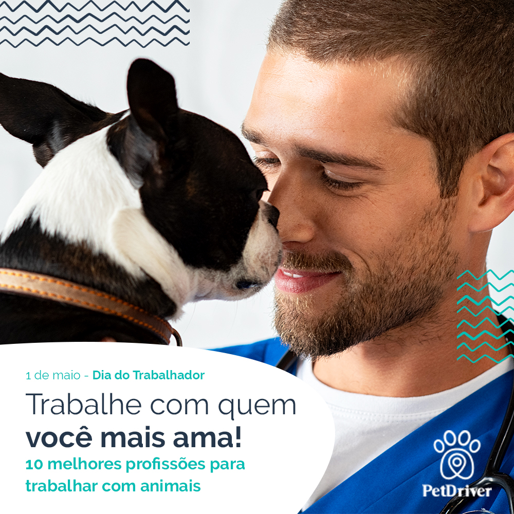 Trabalhar com quem você ama é bom pra cachorro!