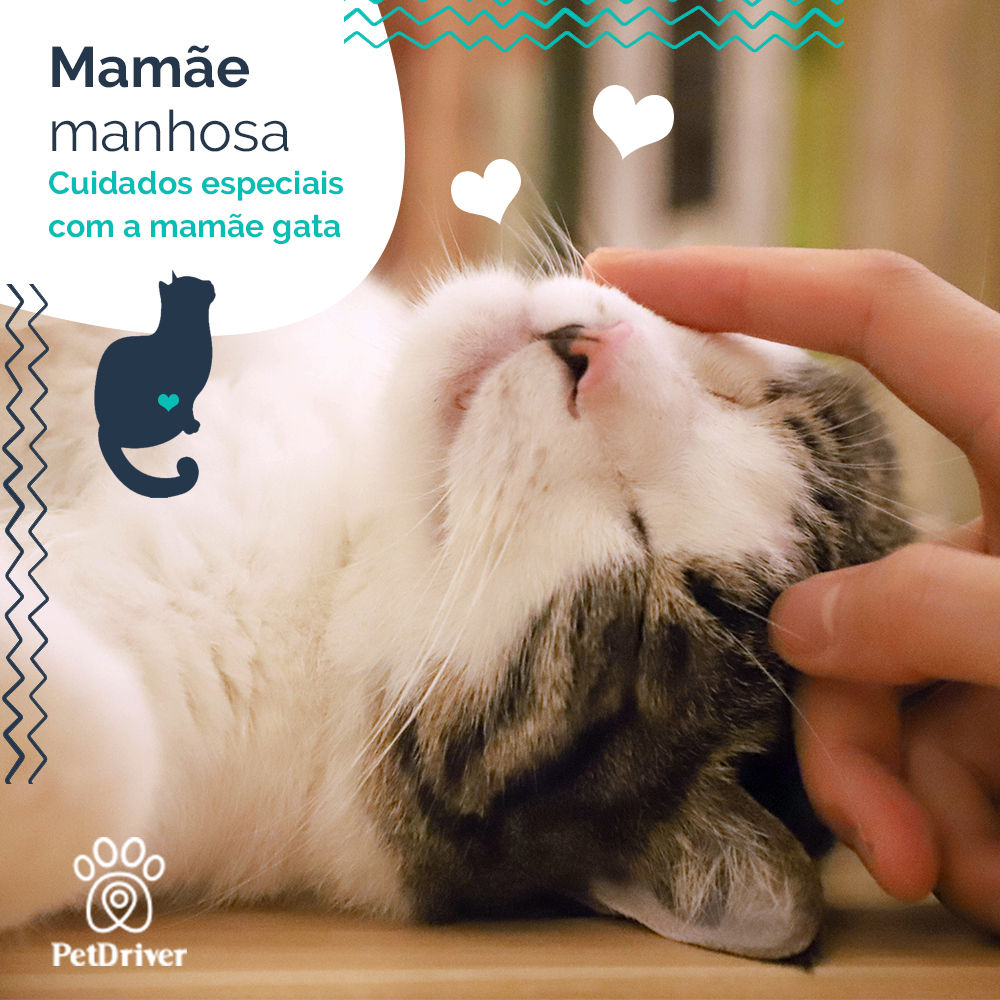 Uma mamãe manhosa precisa de todo cuidado