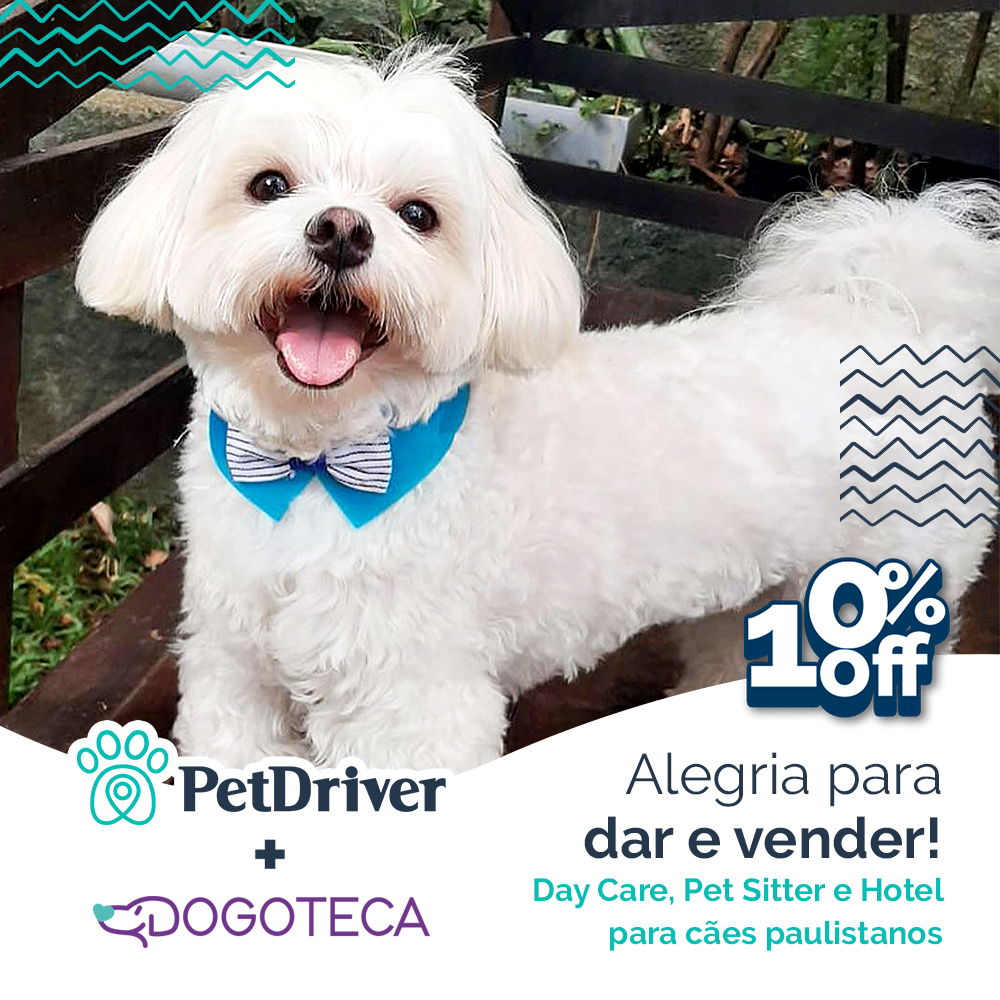 Parceiro Dogoteca: Diversão para o seu pet dar e vender!