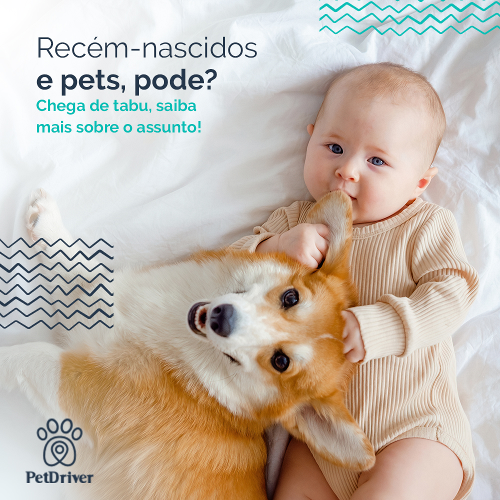 Bebês recém-nascidos e pets: chega de tabu!