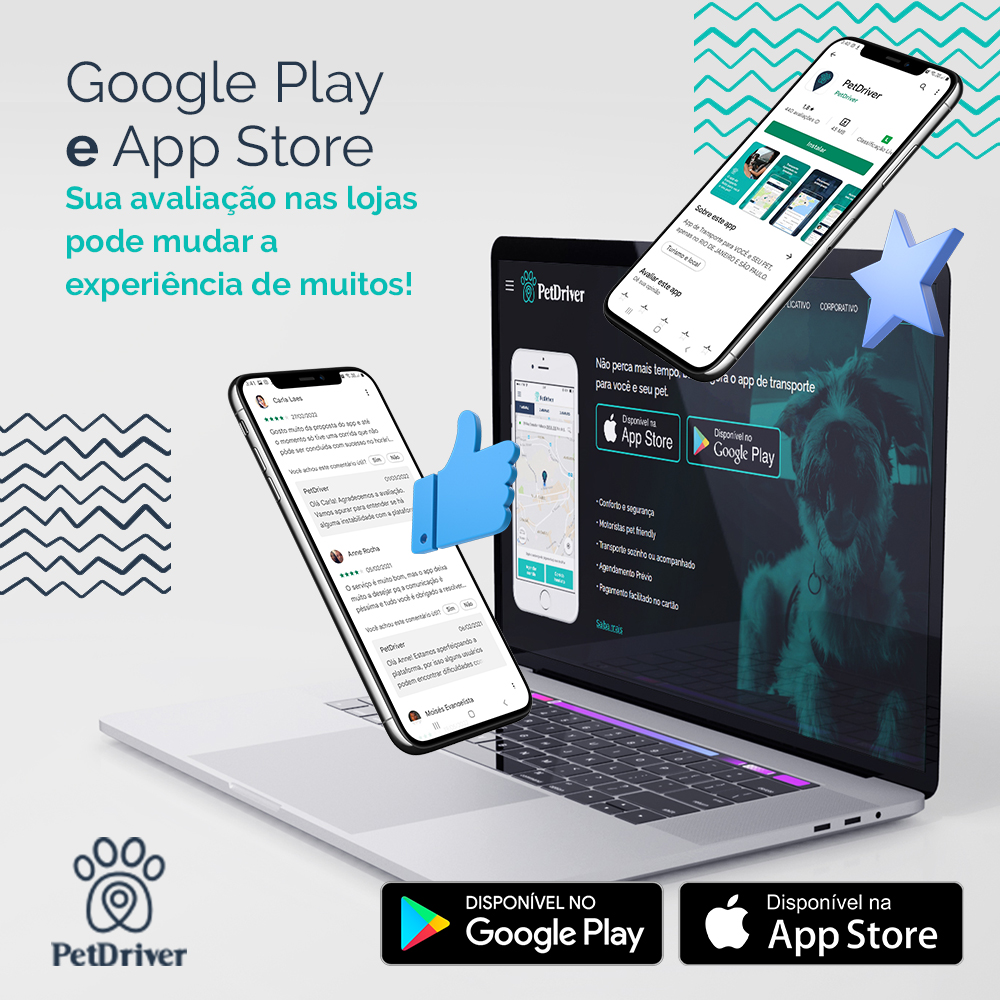 Google Play e Play Store: sua avaliação pode influenciar a experiência de outros usuários!￼
