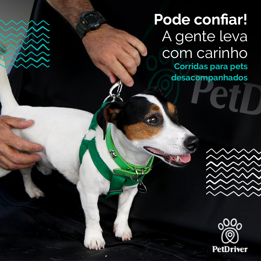 Pode deixar que a gente leva e traz com carinho e segurança!