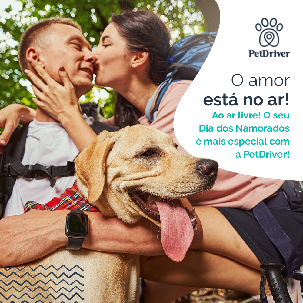 O amor está no ar: ao ar livre!