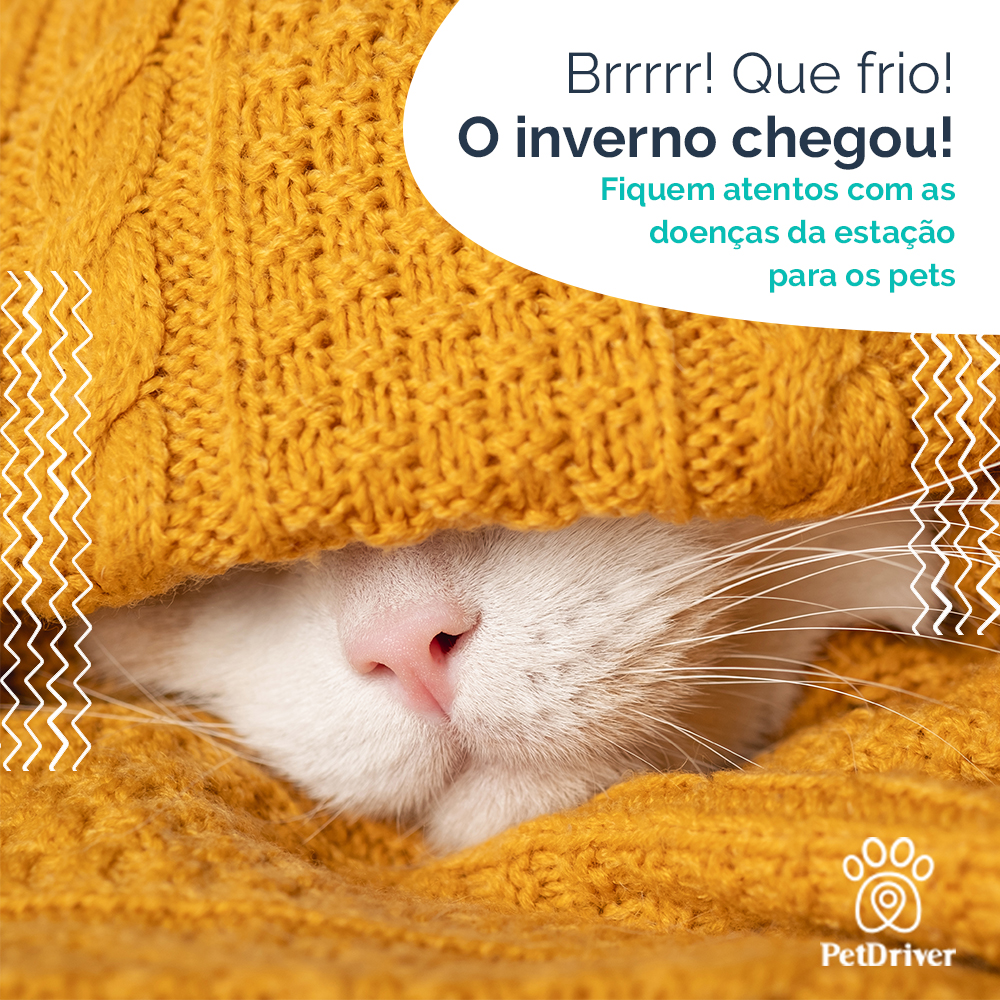 O inverno chegou e cuidados são necessários