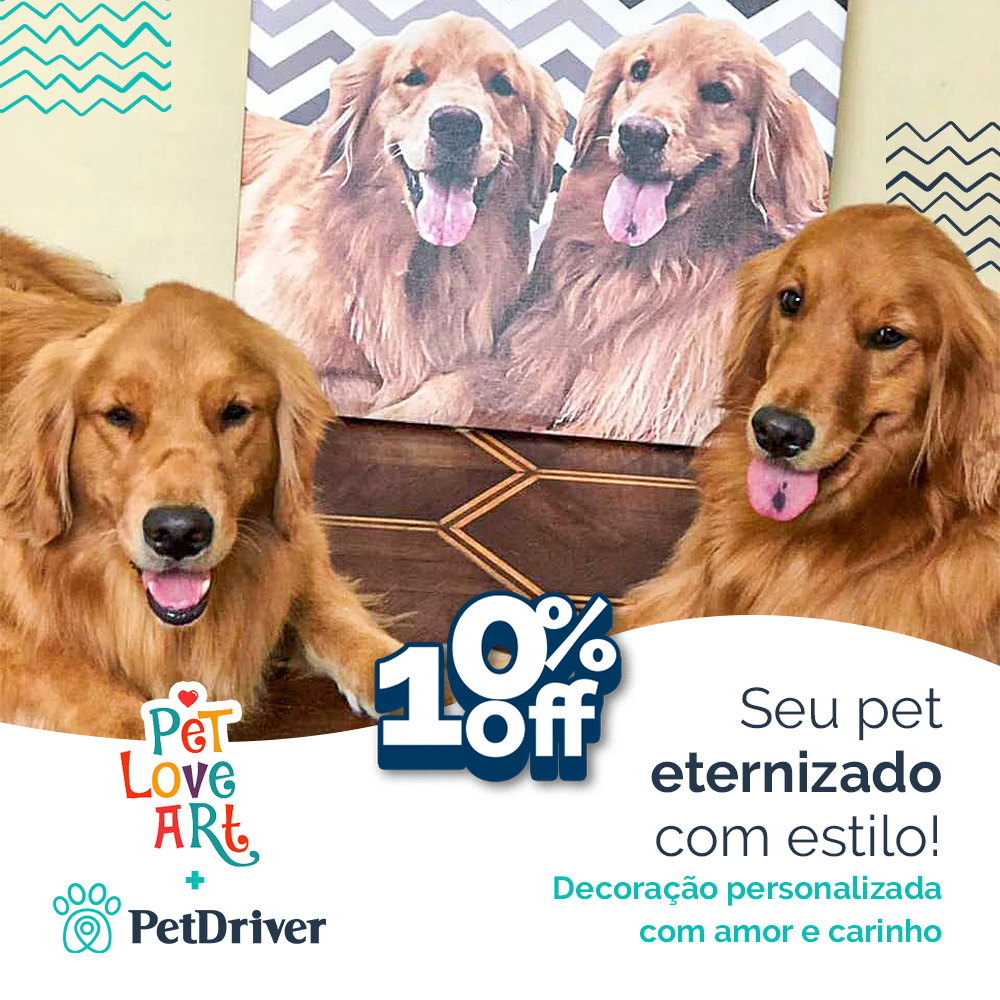 Parceria Love Pet Art: Seu pet é uma obra de arte