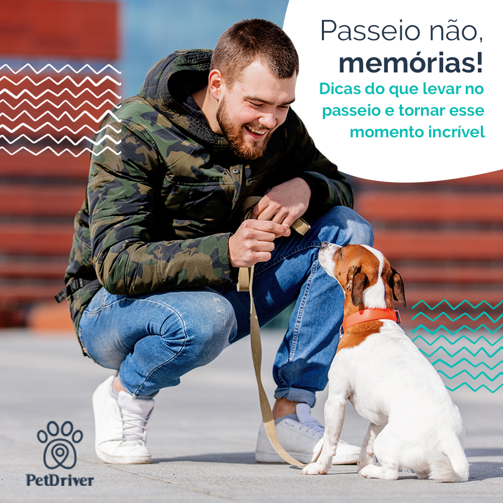 Seu pet conhece um mundo novo quando sai pra rua!