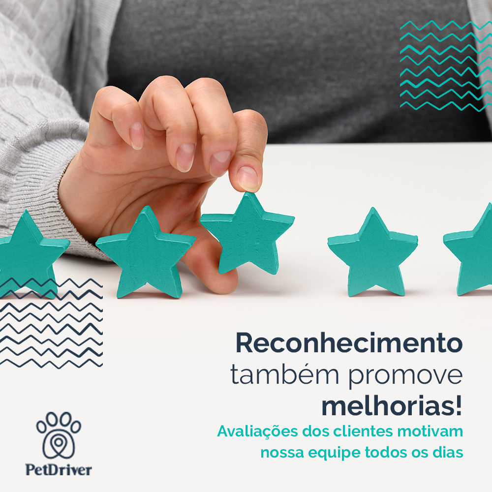 Depoimento de clientes PetDriver: A origem de toda mudança