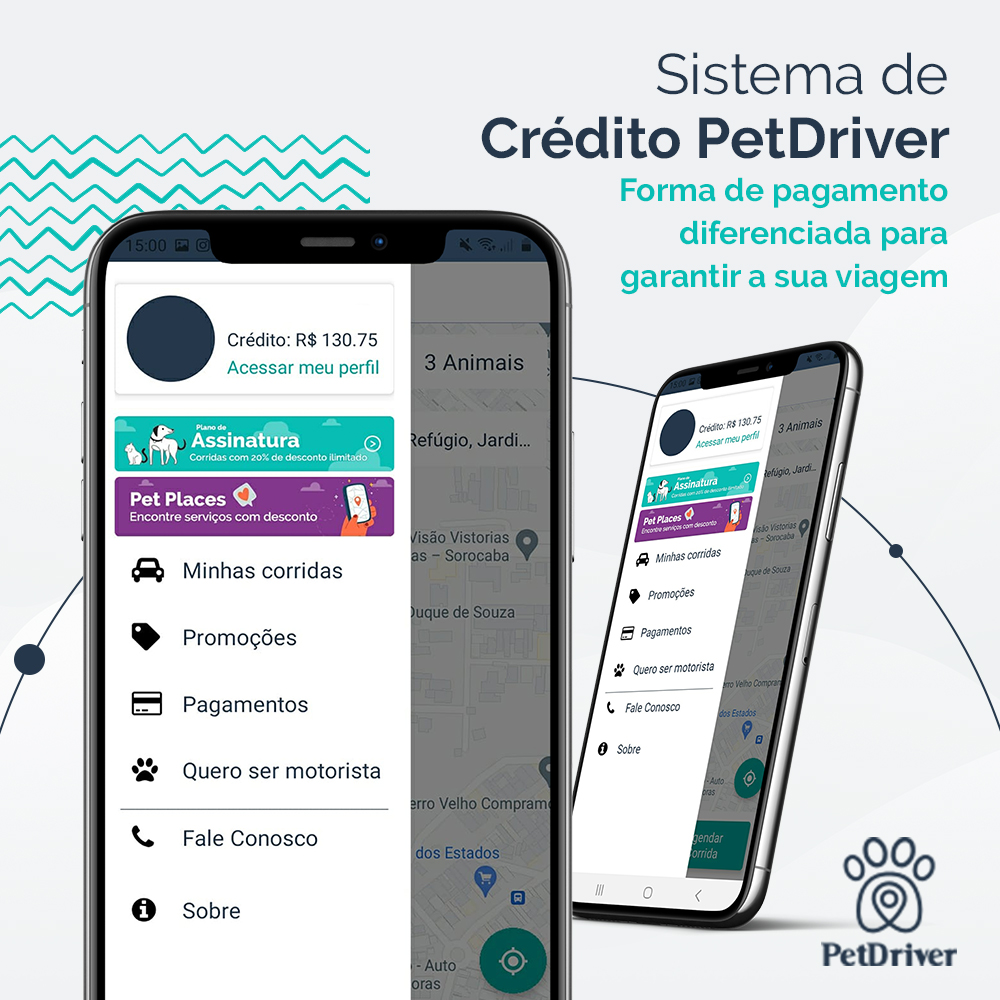 Sistema de Crédito PetDriver: Mais facilidade no dia a dia do tutor