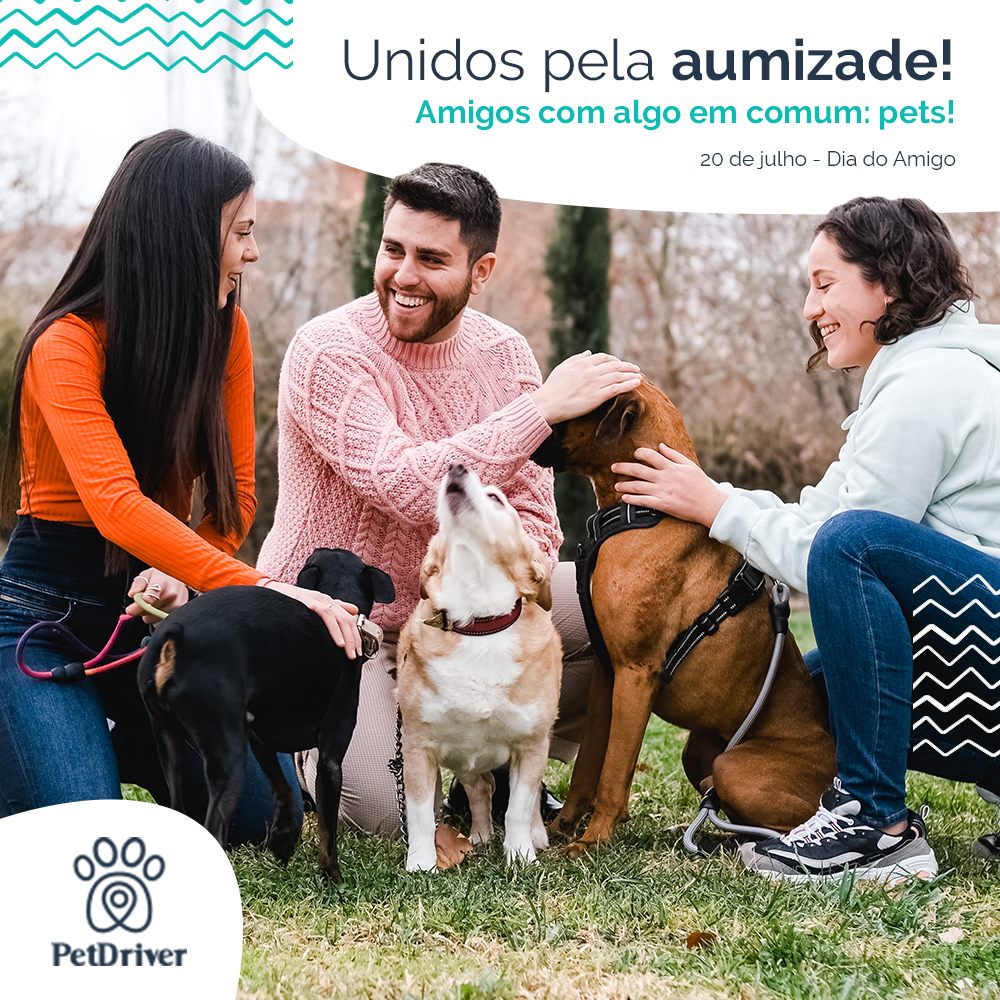 Unidos por uma aumizade sincera!