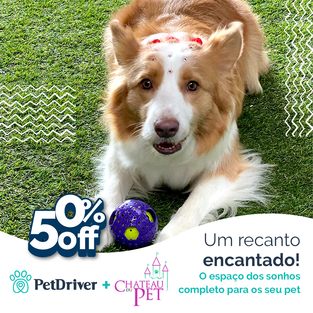 Parceria encantada: Chateau du Pet