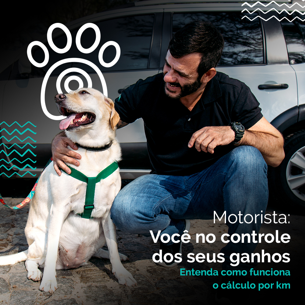 Motorista: Você no controle dos seus ganhos