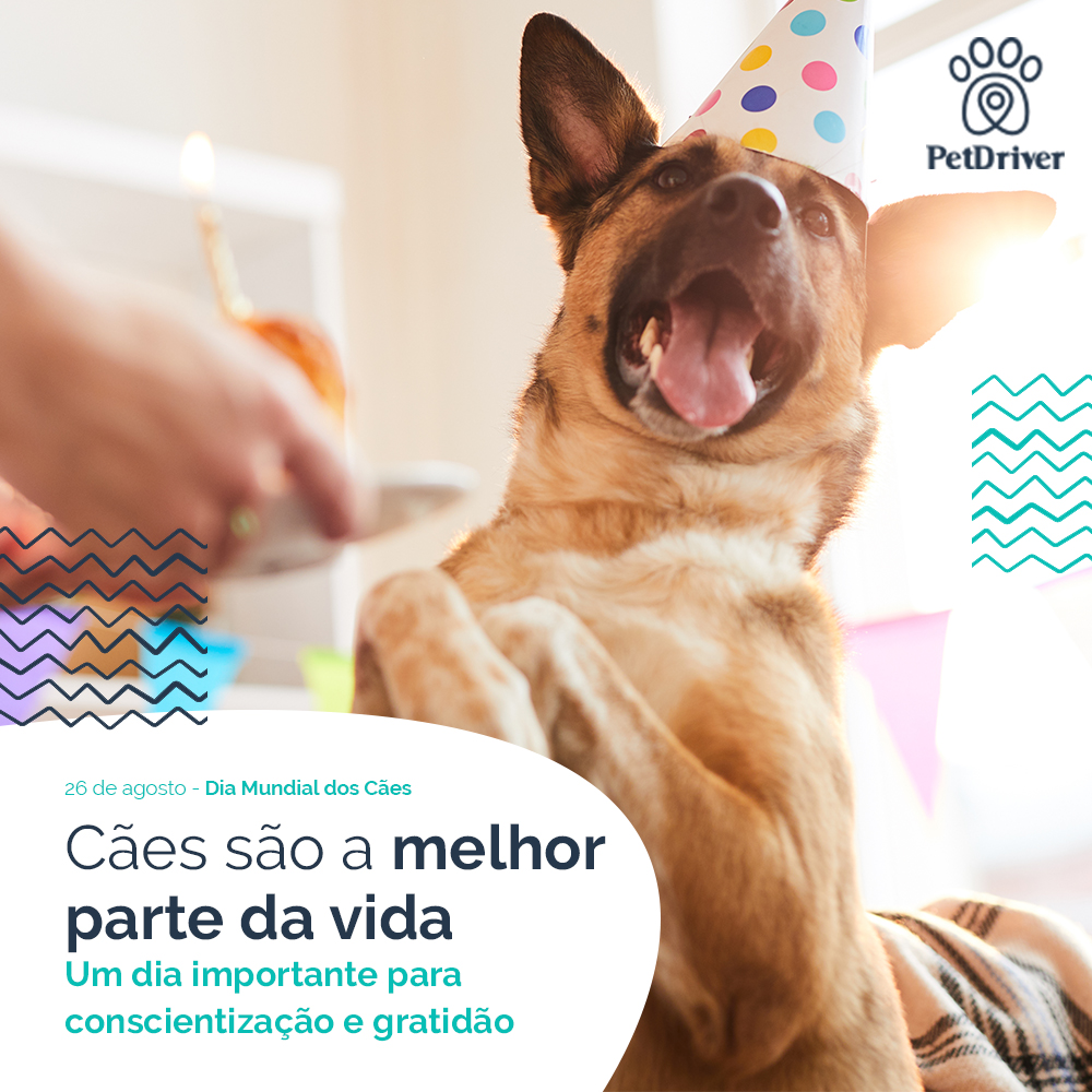 Cães são a melhor parte da vida!