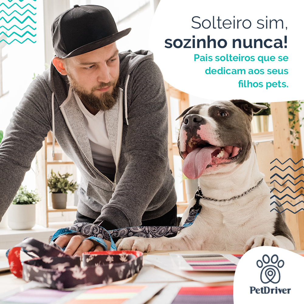 Pais solteiros dedicam seu amor aos seus filhos peludos